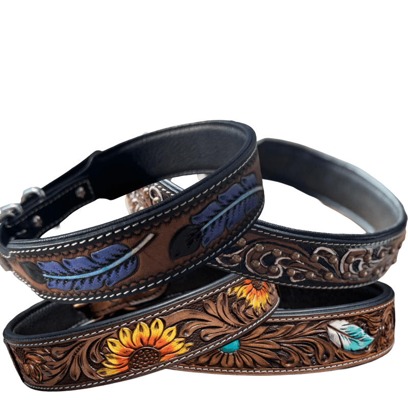 Hand - Tooled & Painted Leather Dog Collars - Lion Country Supply