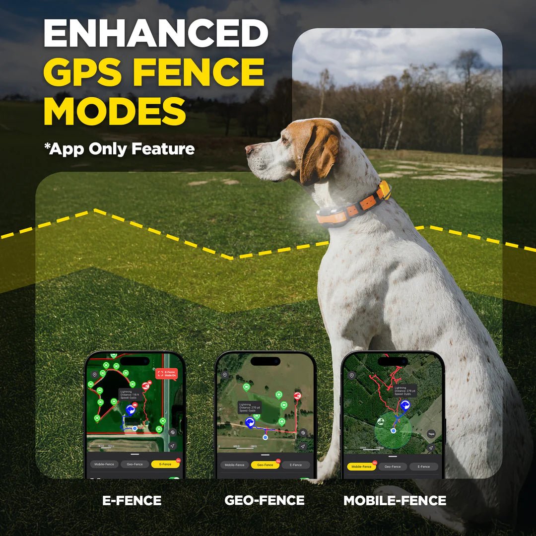 Dogtra Pathfinder 2 Compass Handheld GPS Connector - Lion Country Supply