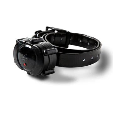 DT Systems Micro-iD Plus Extra Collar