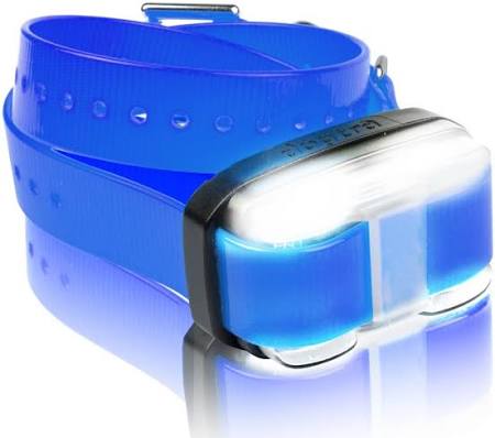 Dogtra Edge Extra Collar