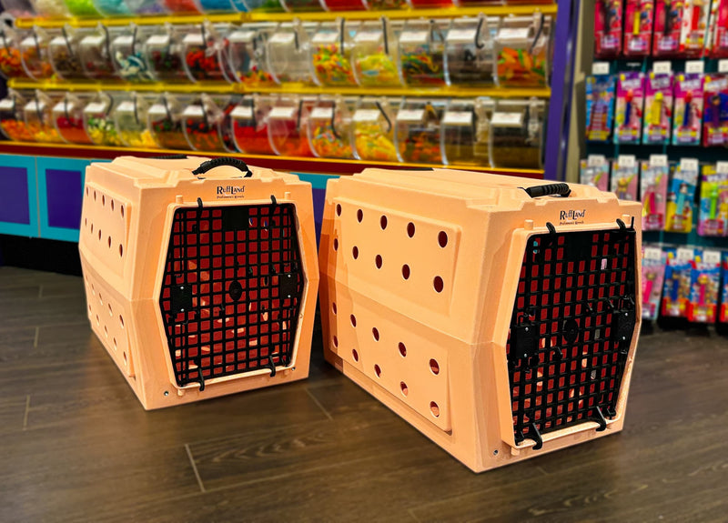 Ruff Land Performance Kennels Peaches and Cream
