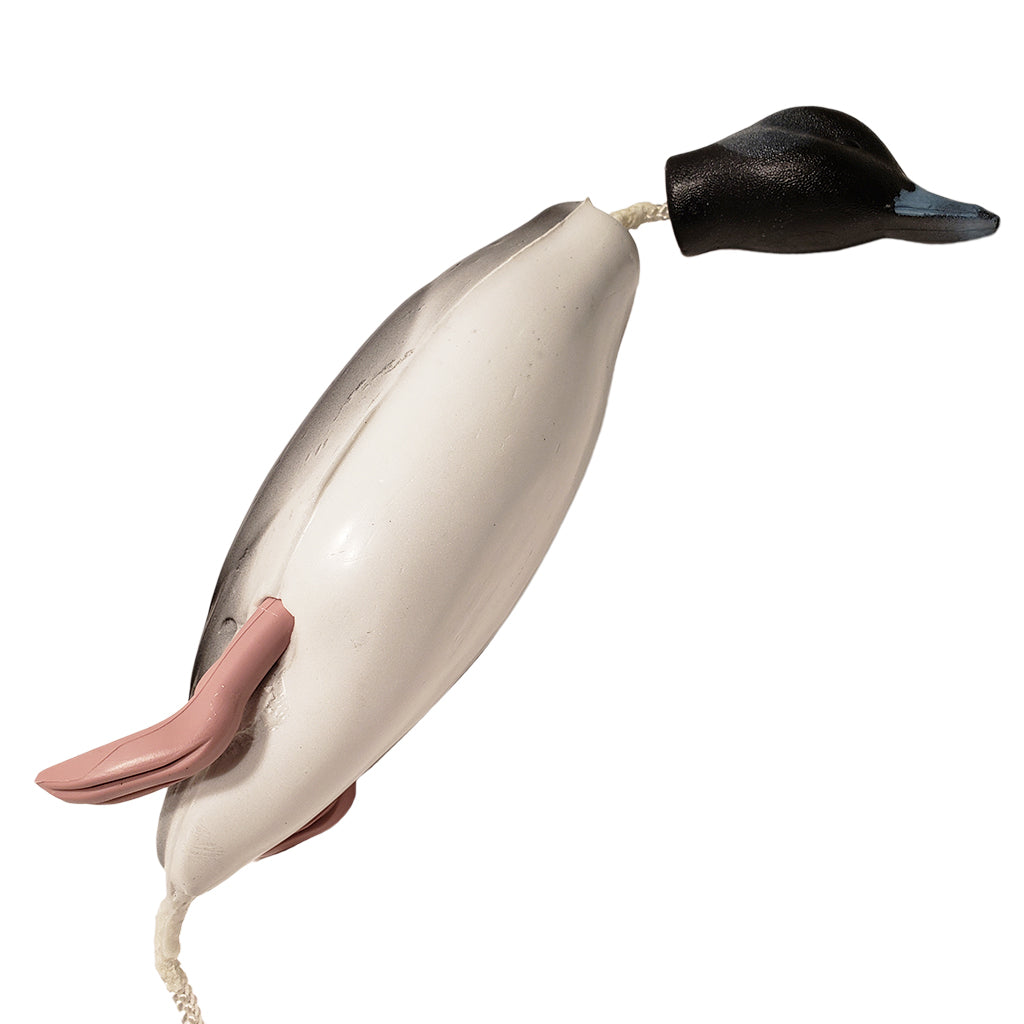 Dead Fowl Trainer Bufflehead