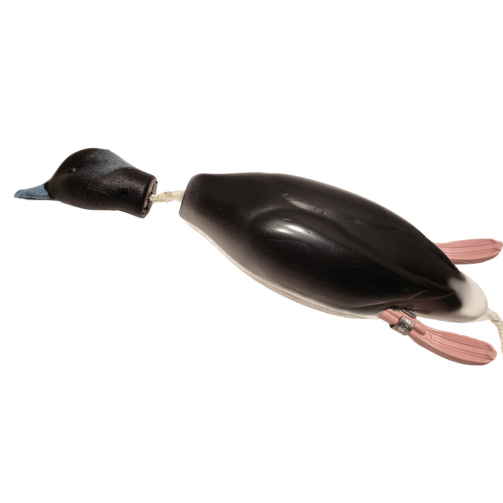 Dokken Dead Fowl Trainer Bufflehead – Hunting Dog Supply