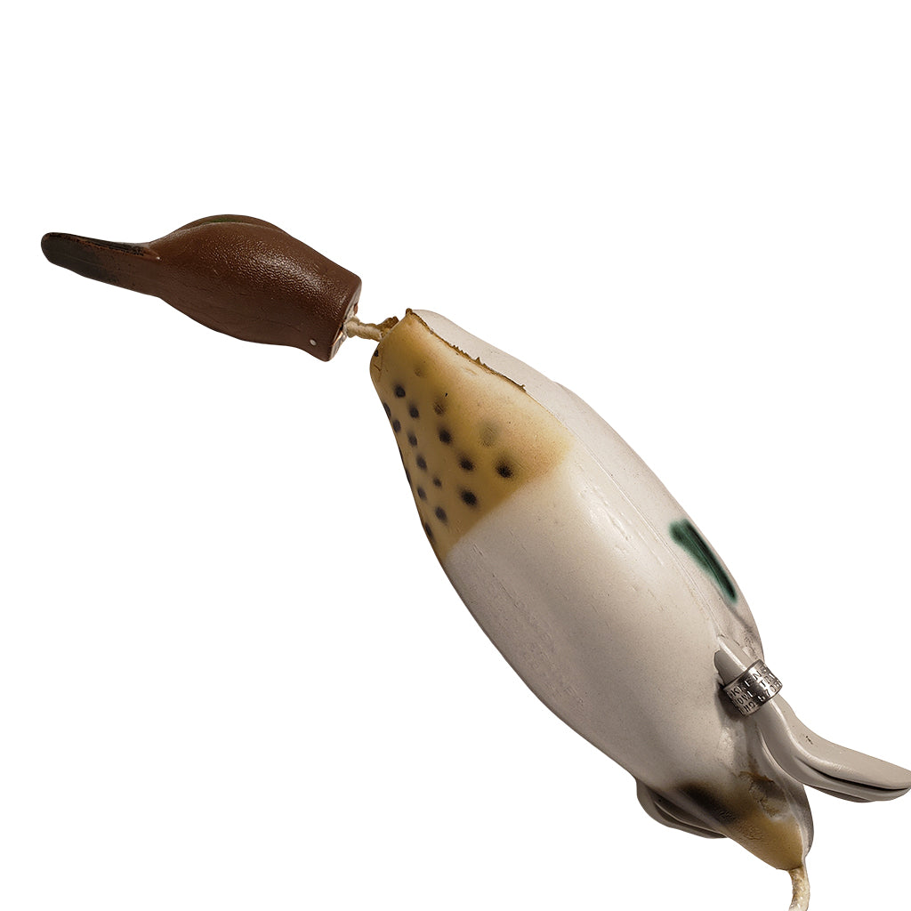 Dokken Dead Fowl Trainer Greenwing Teal – Hunting Dog Supply