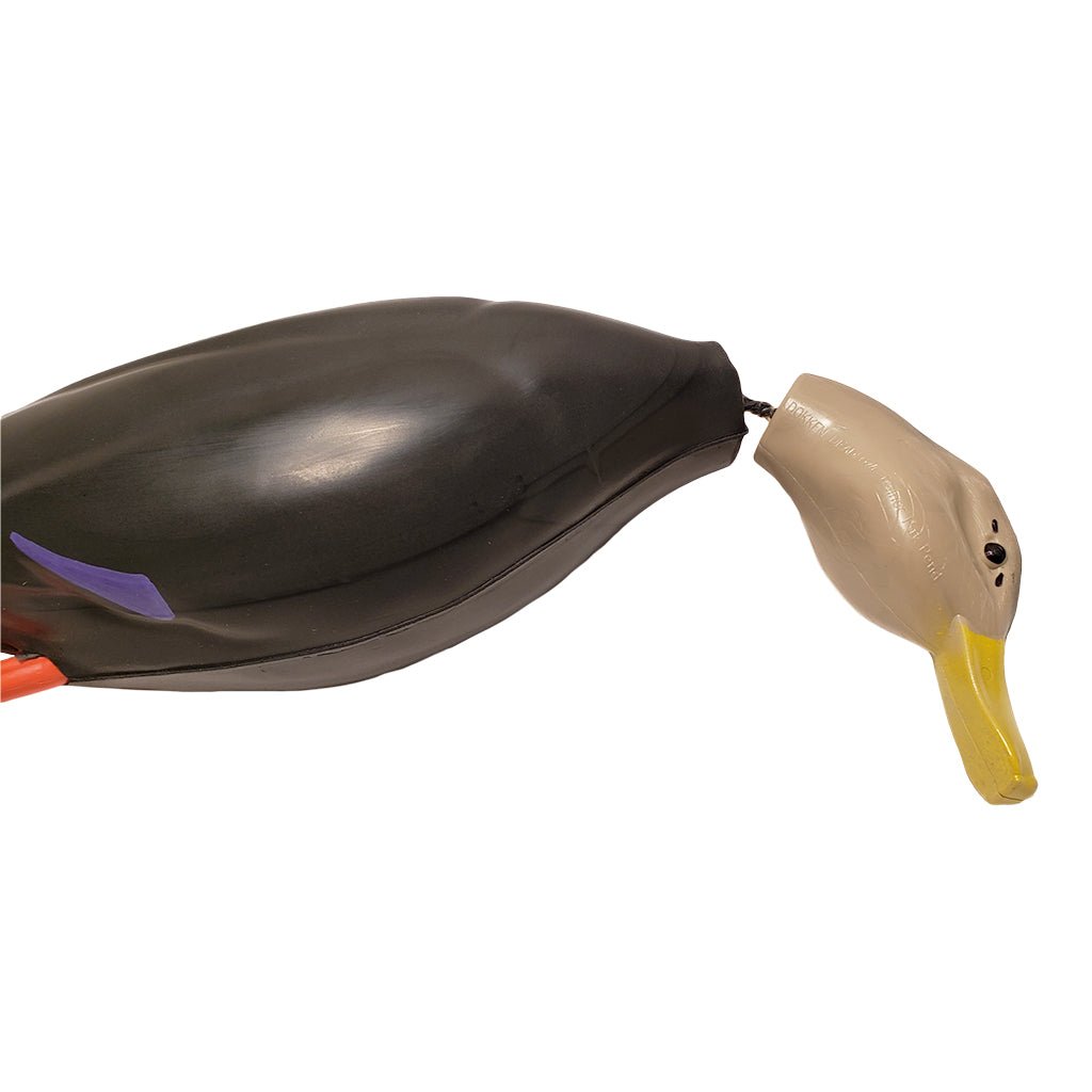 Dead Fowl Black Duck