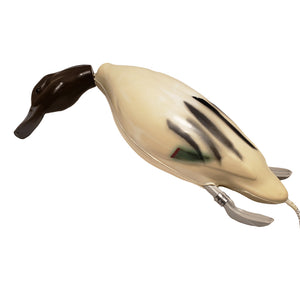Dead Fowl Pintail