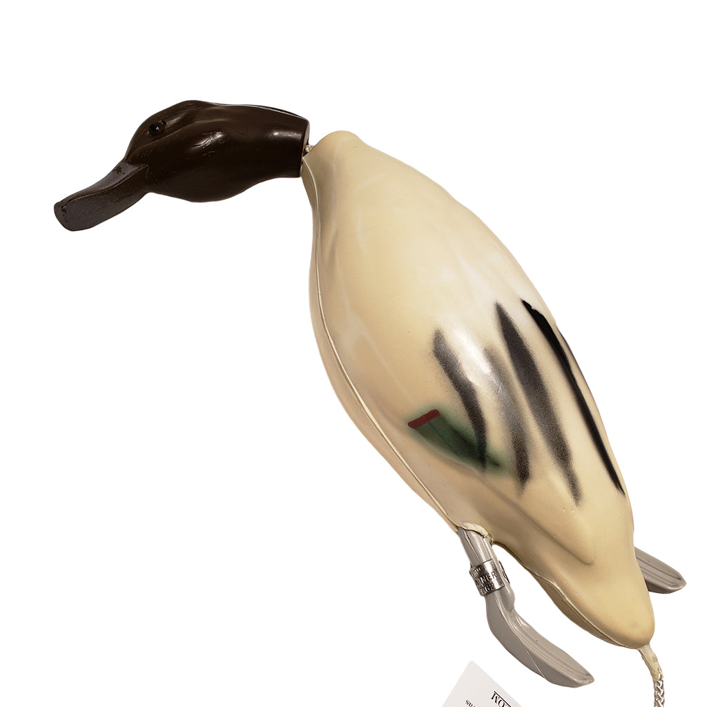 Dead Fowl Pintail