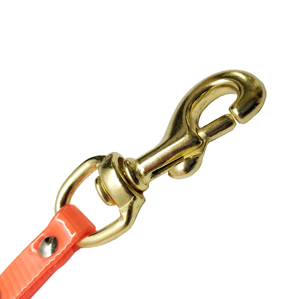 DayGlo 2-Dog Coupler