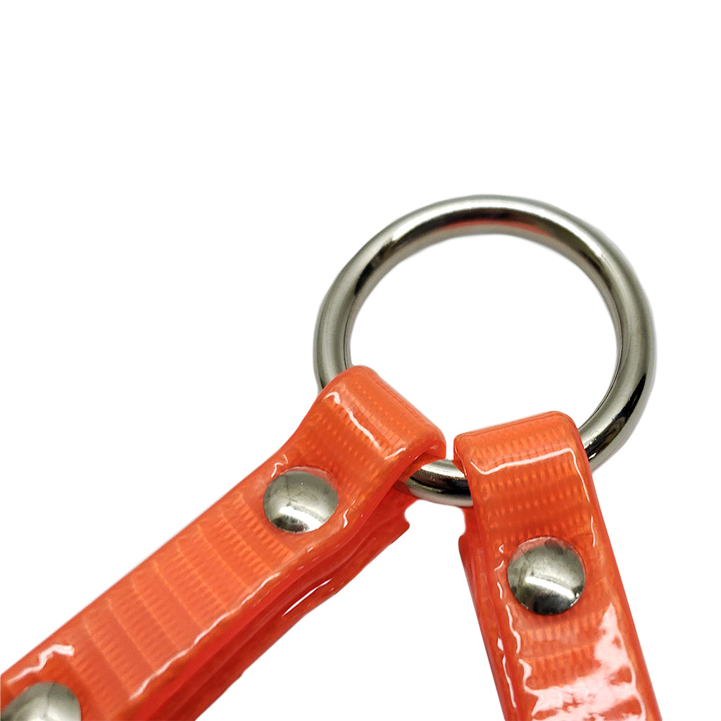 DayGlo 2-Dog Coupler