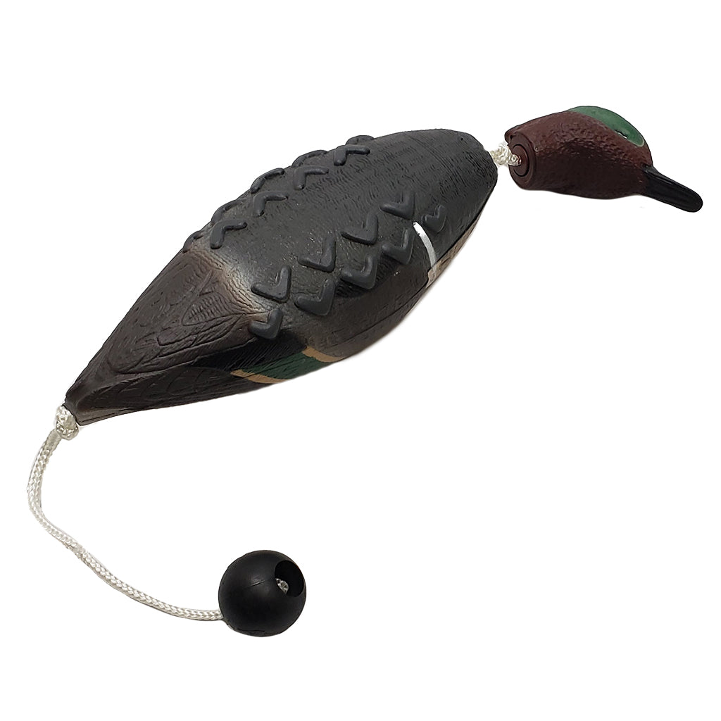 Avery True Bird