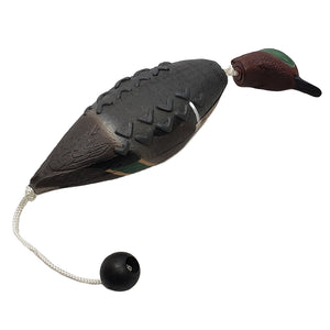 Avery True Bird
