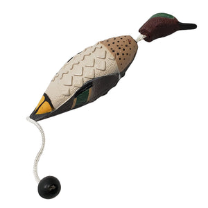 Avery True Bird
