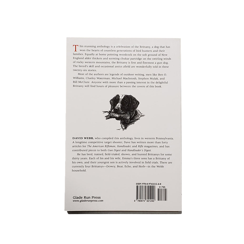 A Feisty Little Pointing Dog