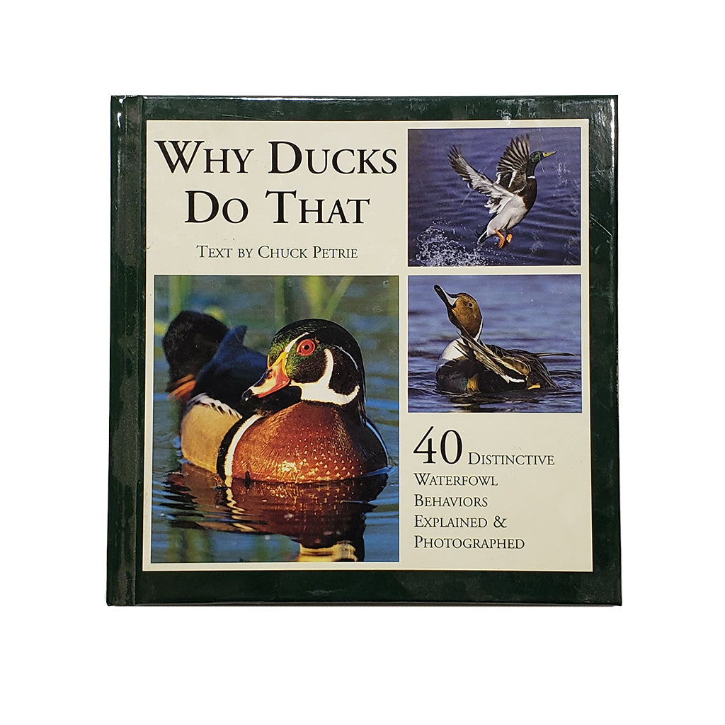 Why Ducks Do That