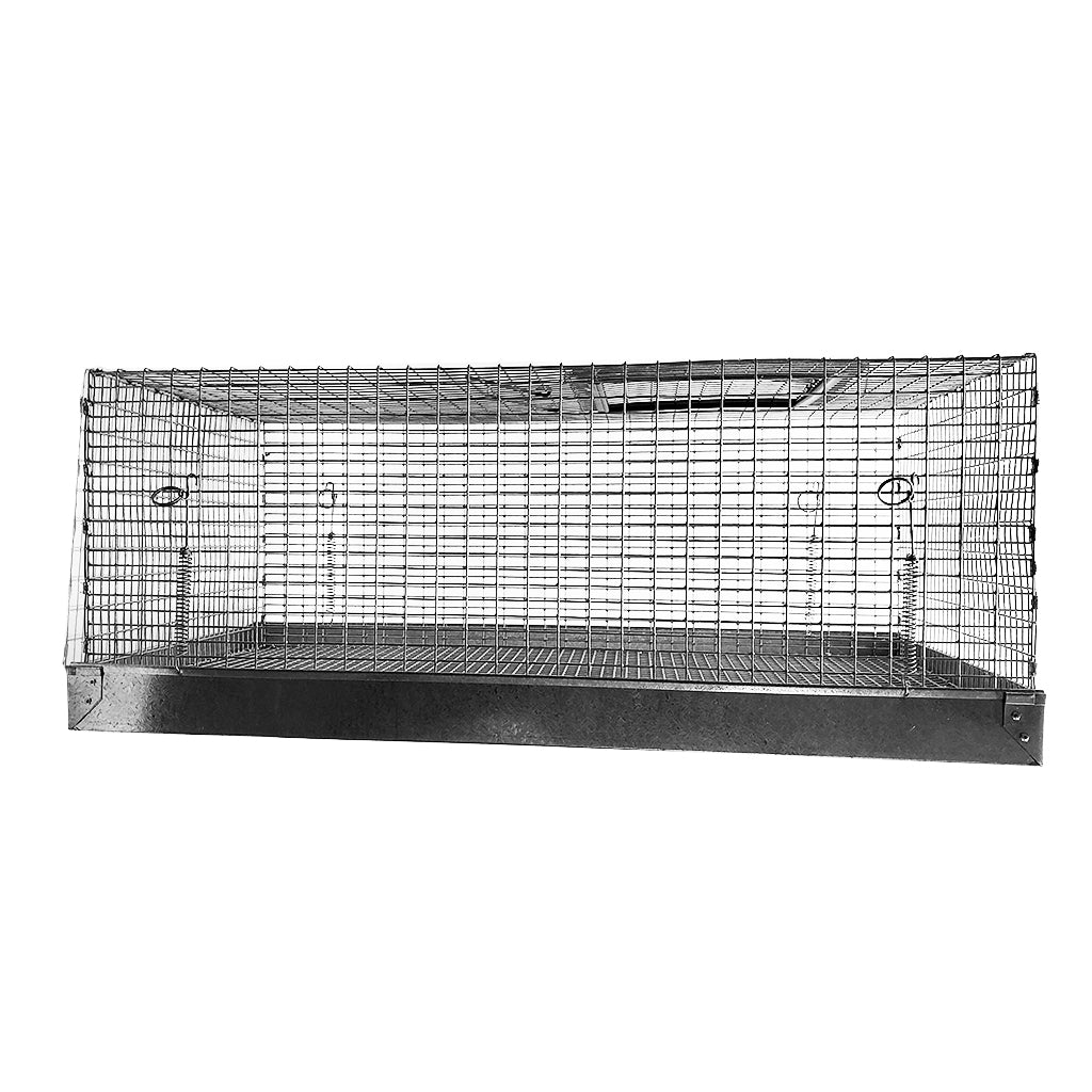 Lion Country Supply LCS Bird Carry Cage - Large – Hunting Dog Supply