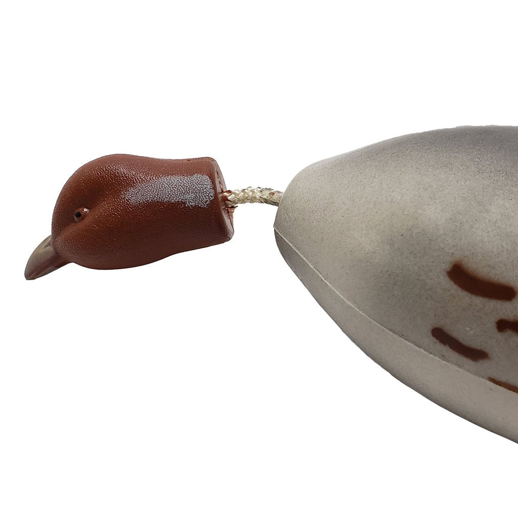 Dead Fowl Hungarian Partridge