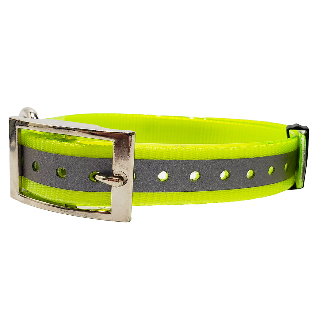 LCS Dayglo 1 Inch D-Ring Collar - Lion Country Supply