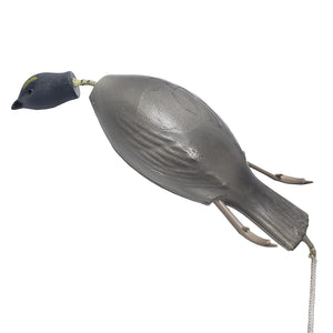 Dead Fowl Blue Grouse