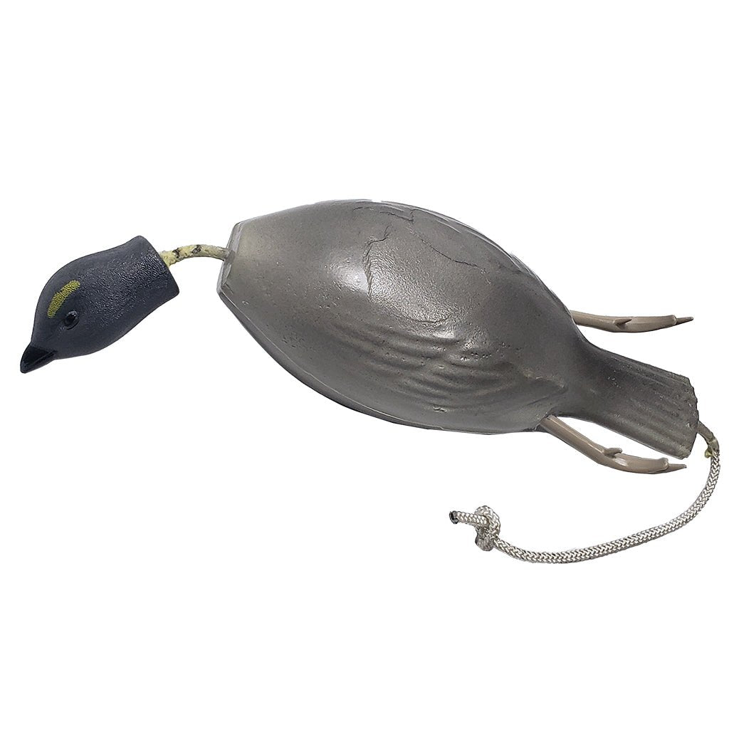 Dead Fowl Blue Grouse