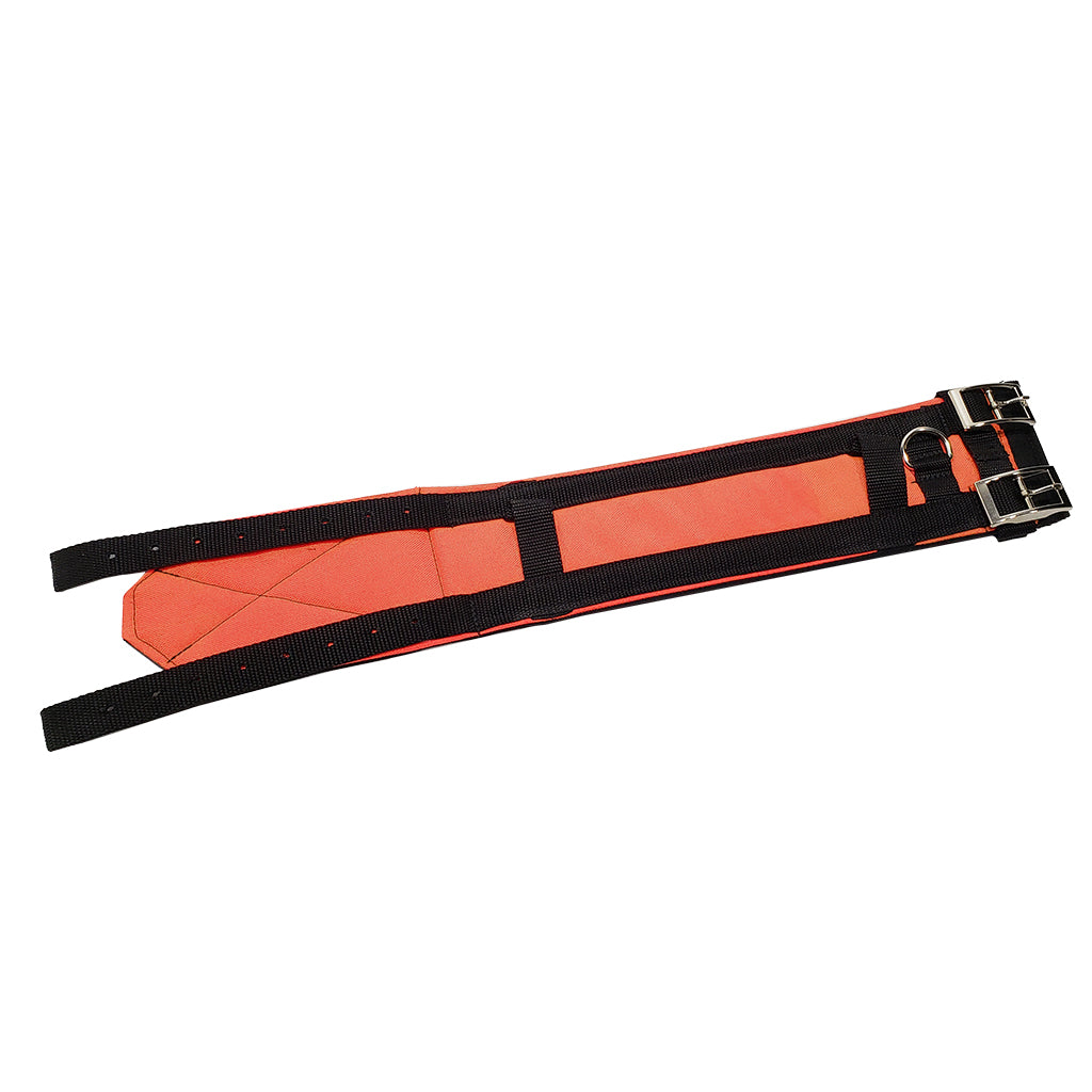 Bay Head 4 Inch Cut Collar