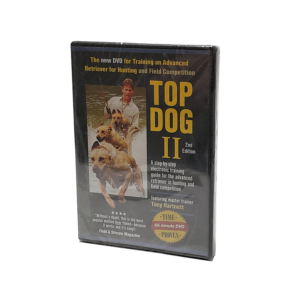 Hunter Retriever Training