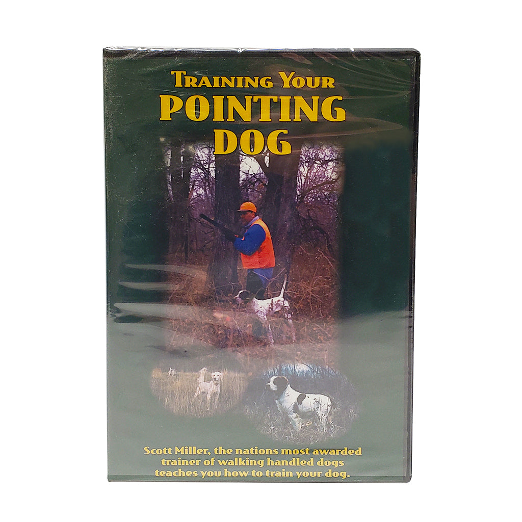 White Dog Productions Training Your Pointing Dog DVD – Hunting Dog Supply