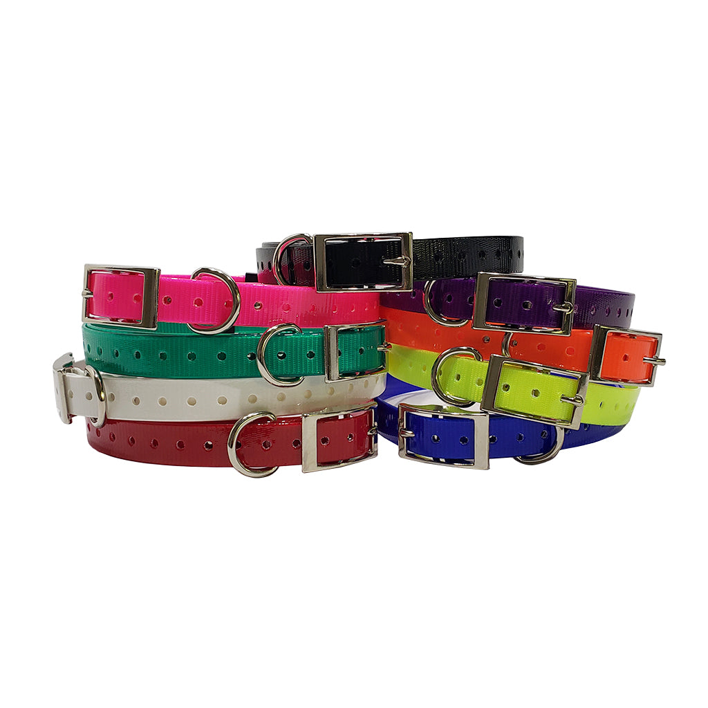 3/4 inch E-Collar Replacement Strap