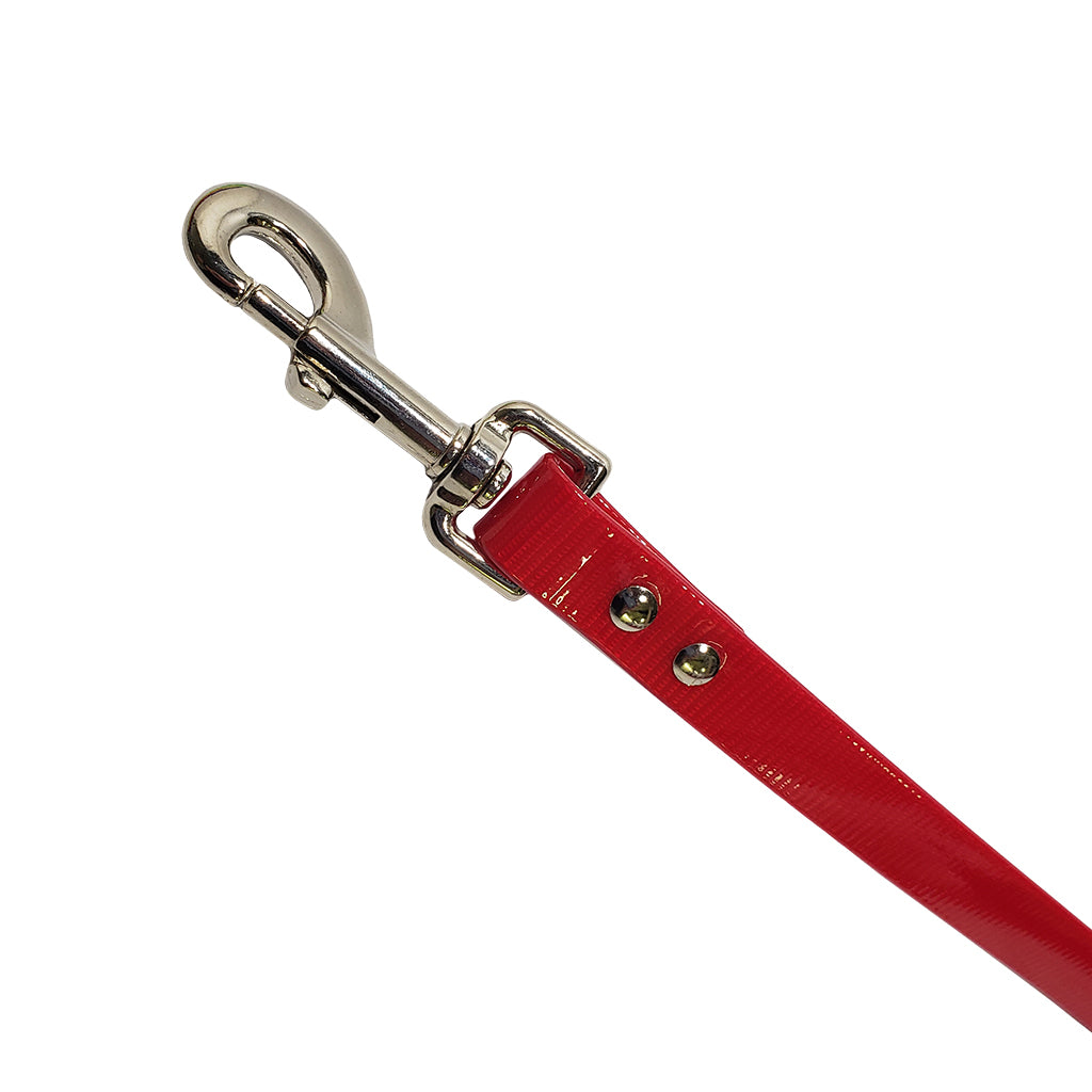 LCS Dayglo 4 Foot Lead