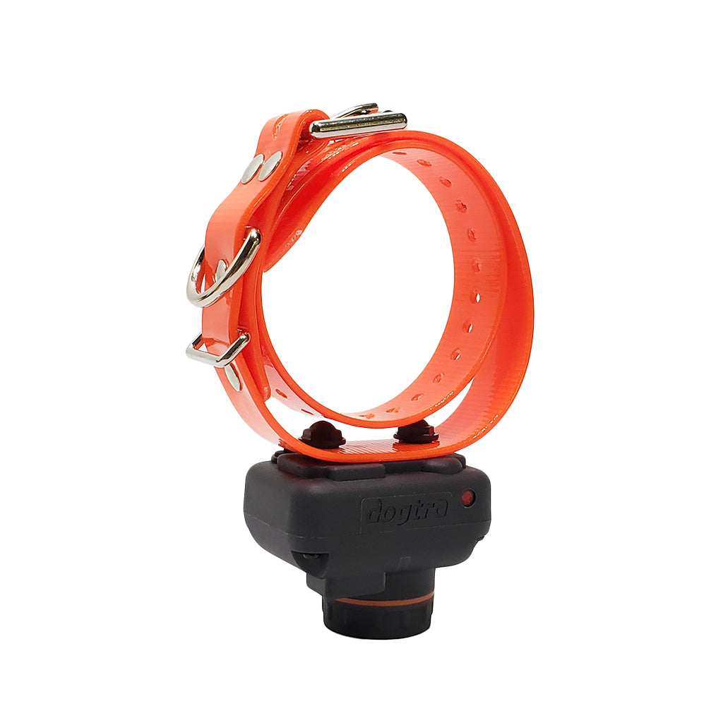 Dogtra STB Beeper Collar
