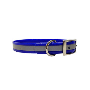 LCS Reflective 3/4 Inch Dayglo D-Ring Collar