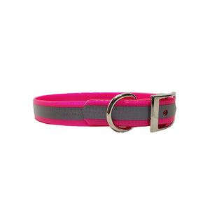LCS Reflective 3/4 Inch Dayglo D-Ring Collar