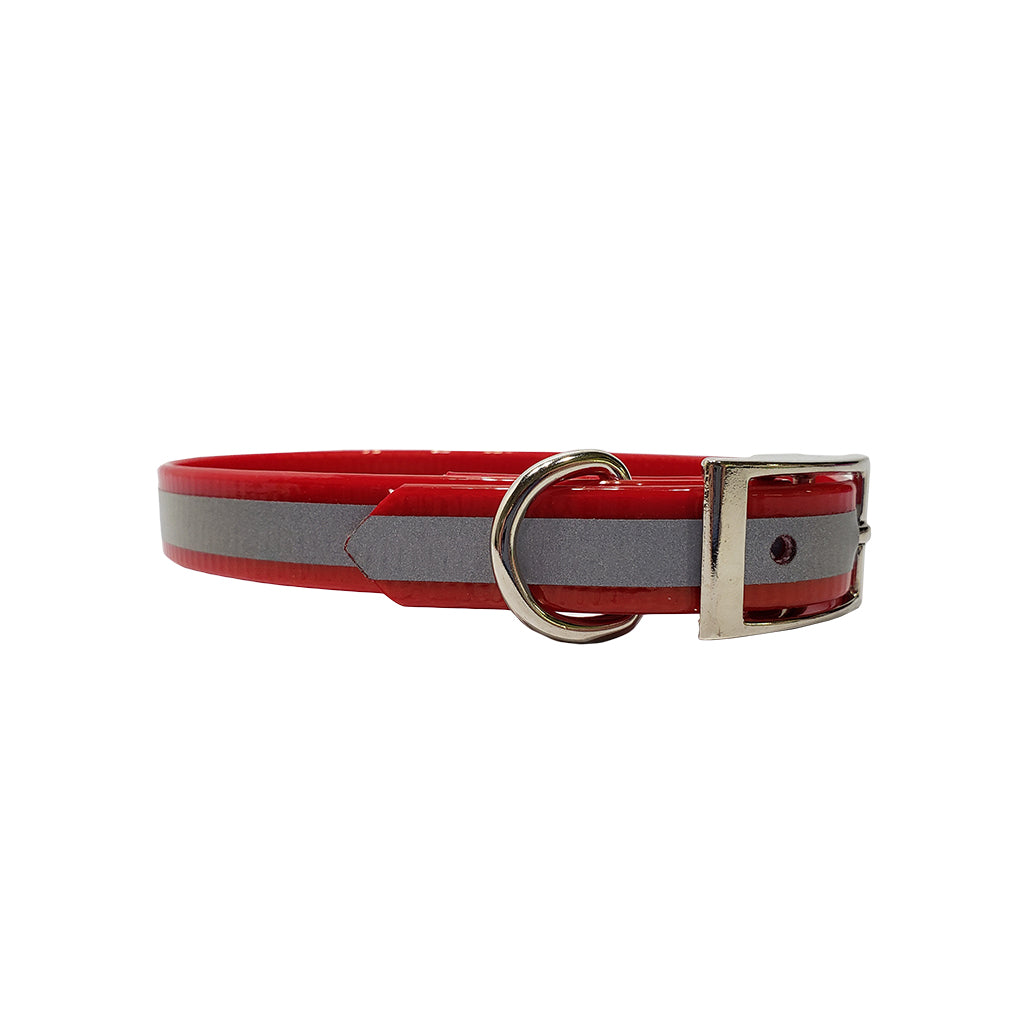 LCS Reflective 3/4 Inch Dayglo D-Ring Collar