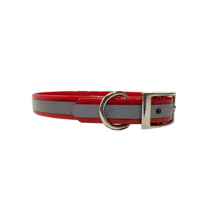 LCS Reflective 3/4 Inch Dayglo D-Ring Collar