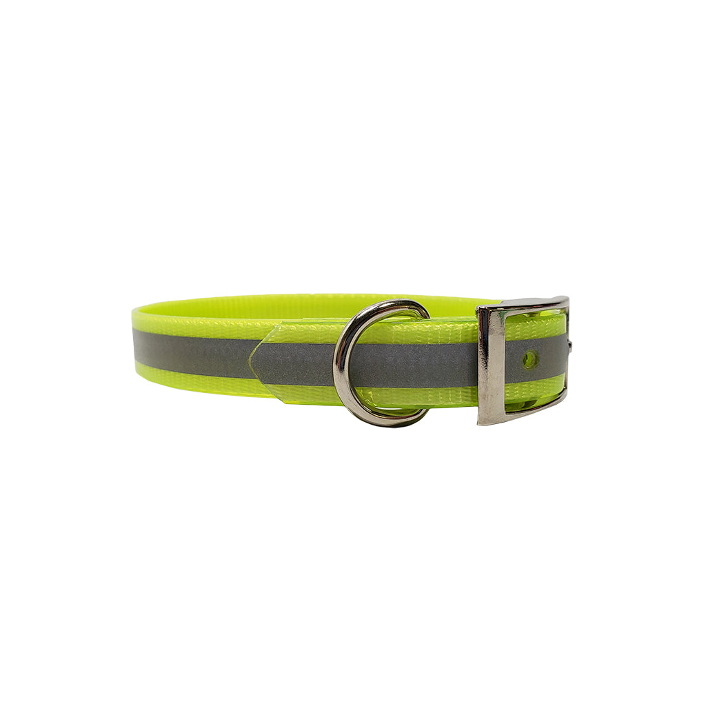 LCS Reflective 3/4 Inch Dayglo D-Ring Collar