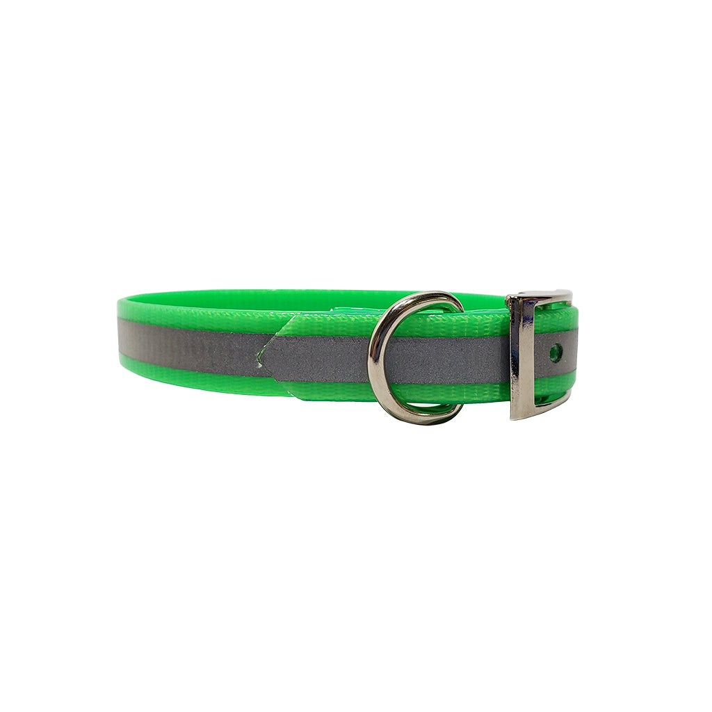 LCS Reflective 3/4 Inch Dayglo D-Ring Collar