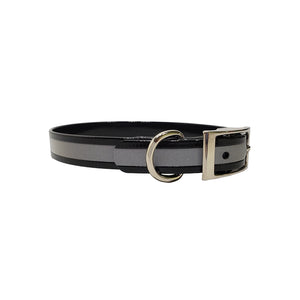 LCS Reflective 3/4 Inch Dayglo D-Ring Collar