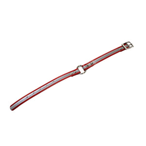 LCS Reflective 3/4 Inch Dayglo O-Ring Collar