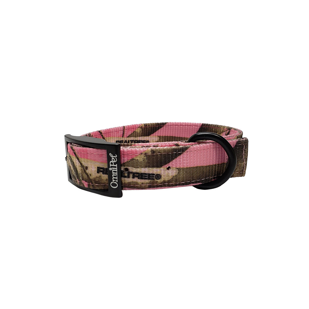LCS Heavy Duty Nylon 1" Collar
