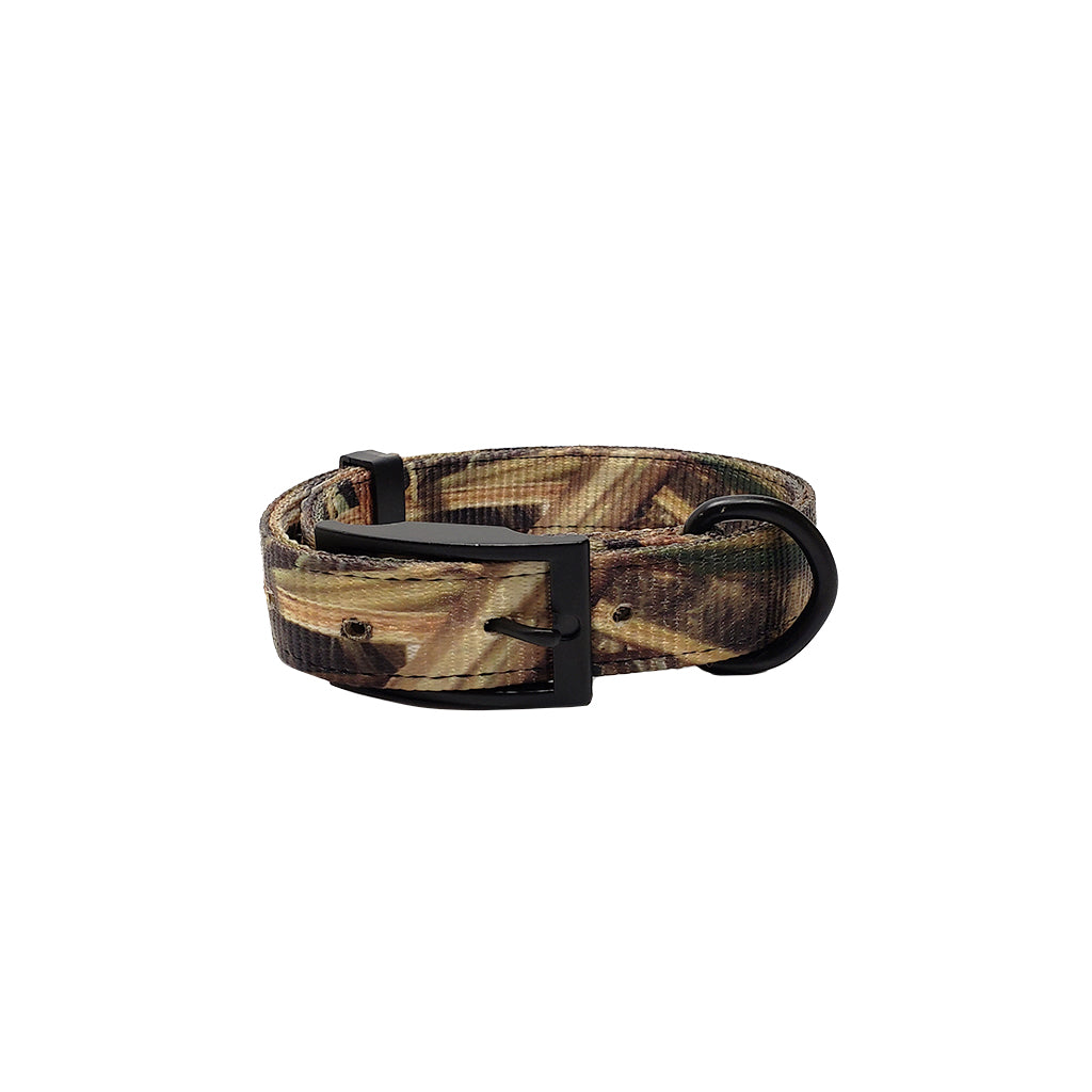LCS Heavy Duty Nylon 1" Collar