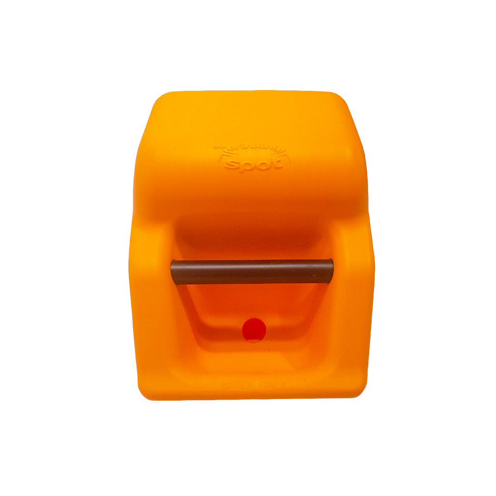 The Drinking Spot No-Spill Dog Waterer