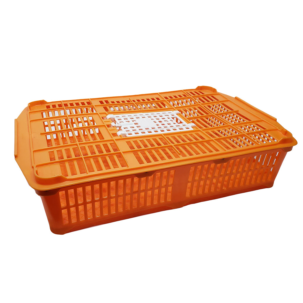 Kuhl Corporation LCS Plastic Quail Crate – Hunting Dog Supply