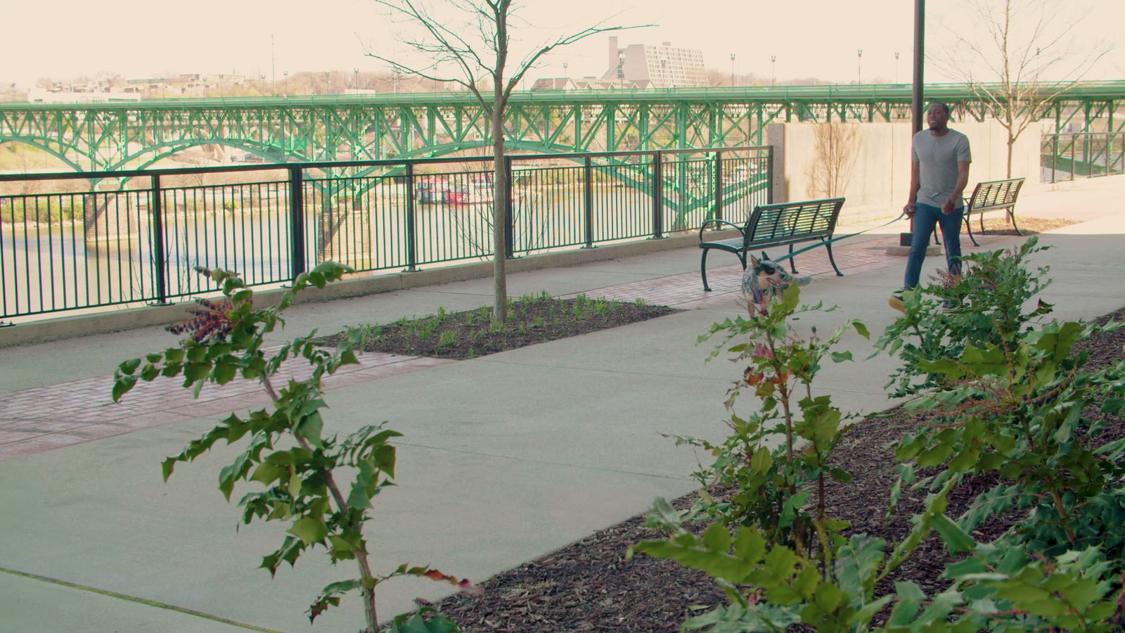 Petsafe Easy Sport Harness