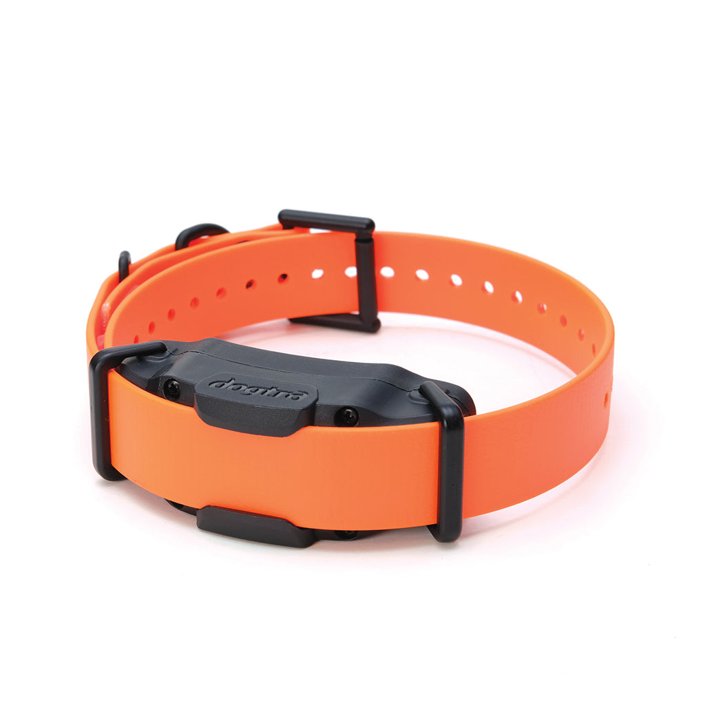 Dogtra 3502x sale