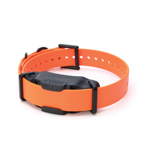 Dogtra 3502X