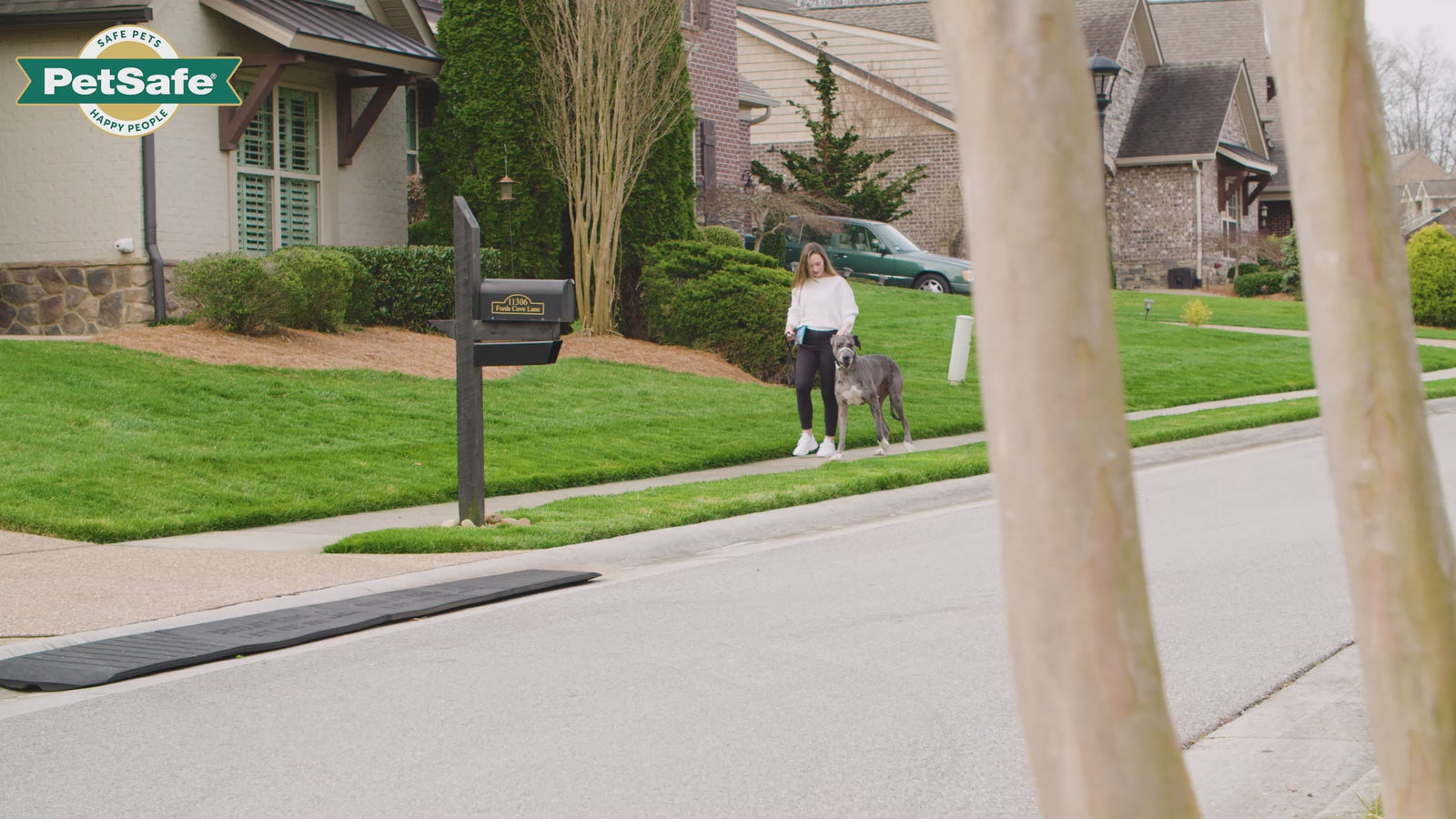 Petsafe Gentle Leader Headcollar Quick Release