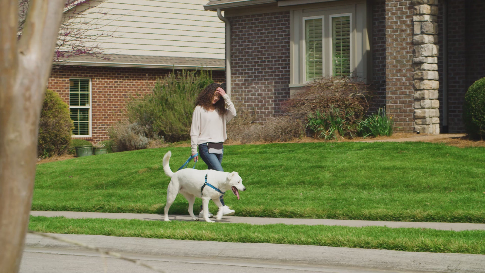 Petsafe Easy Walk Harness Large