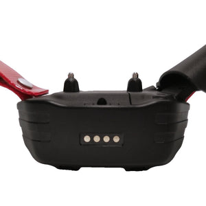 Garmin PRO 550 Plus Mini 1 Dog system