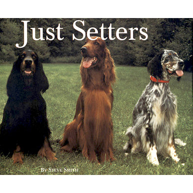 Just Setters