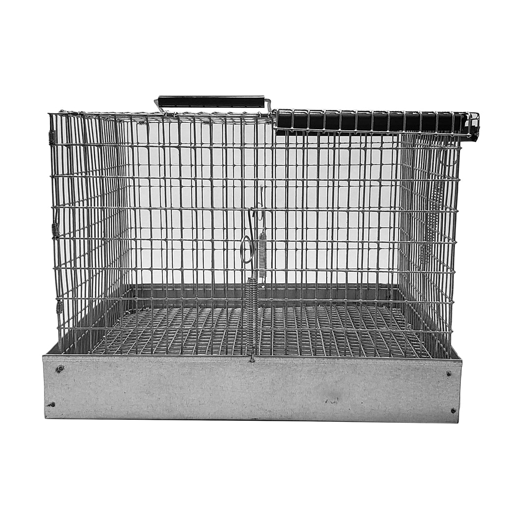 Better Bird Carry Cage