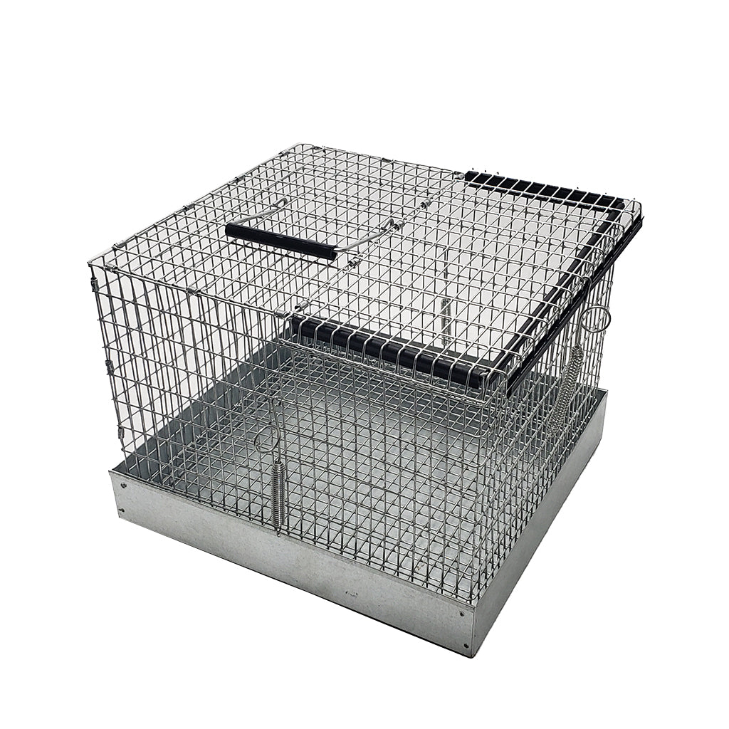 Better Bird Carry Cage